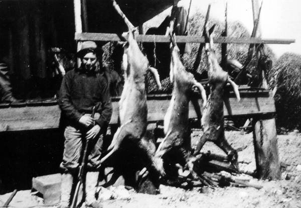 Hunter with 3 deer : Bartow, Florida