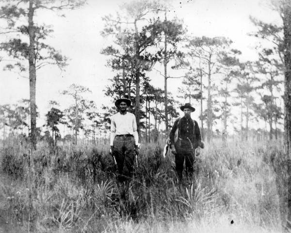 Deer hunting : Bartow, Florida