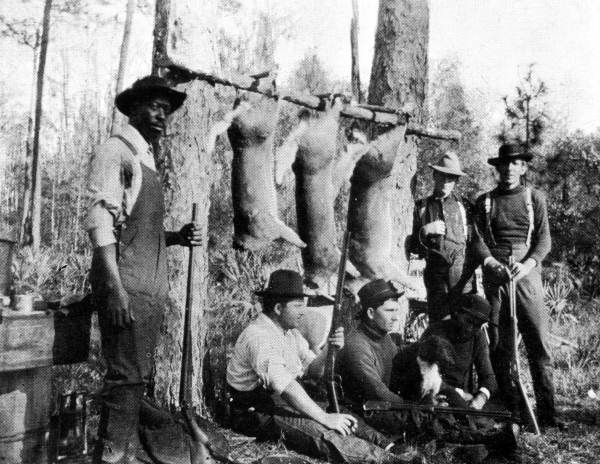 Deer hunting : Bartow, Florida