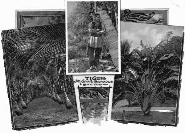 Seminole Indian : Lake Worth, Florida.