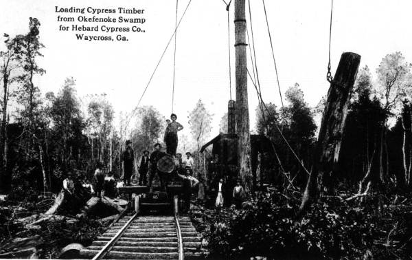 Hebard Cypress Company loading cypress timber from the Okefenokee Swamp