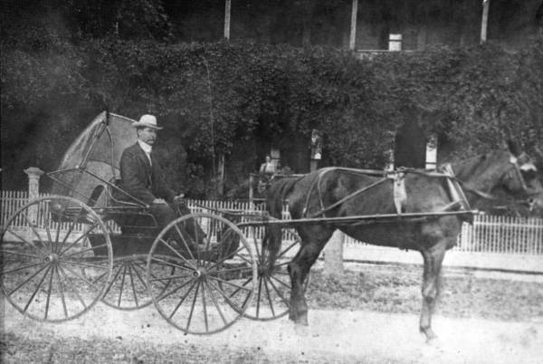 Dr. William R. Groover in his horse-drawn vehicle