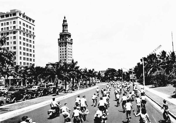 Bicycles on Biscayne Boulevard.