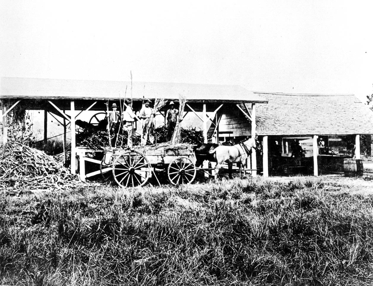 South Farm