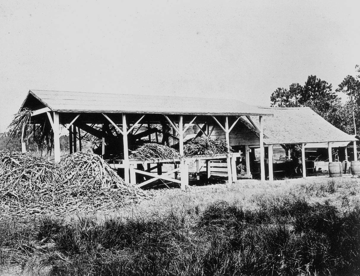 Sugarcane mill at South Farm.