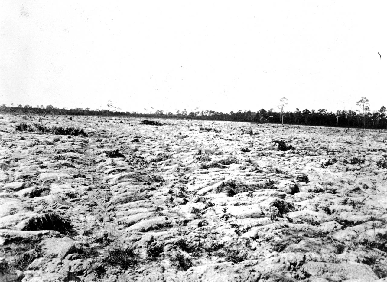 80 acres at North Farm.