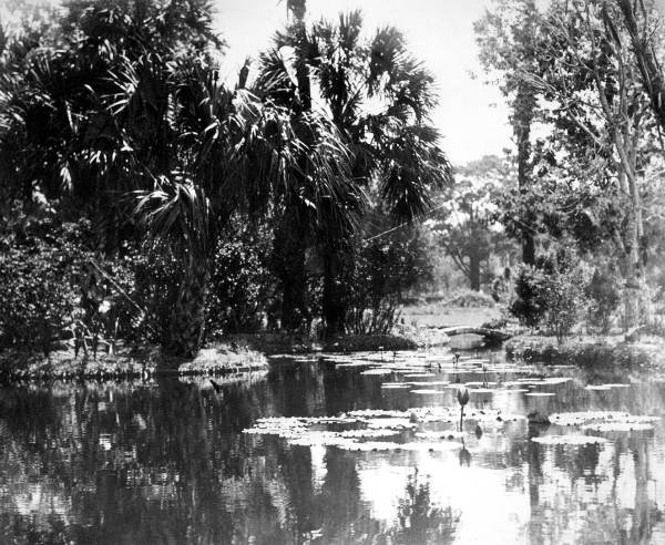 Lake Eola : Orlando, Florida.
