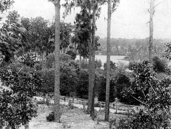 Lake Maggiore : Orlando, Florida.