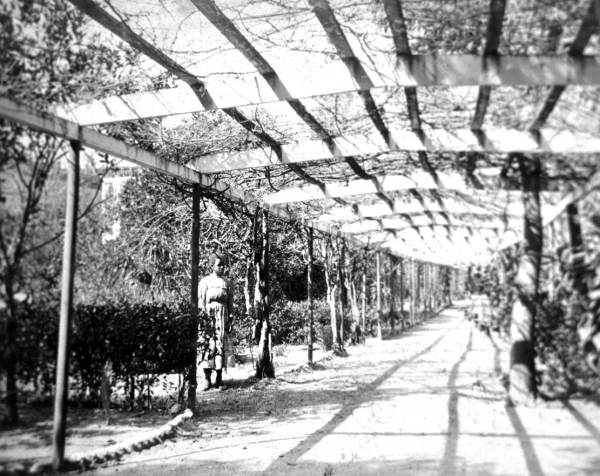 Garden walk at Colonel H. L. Hart's home