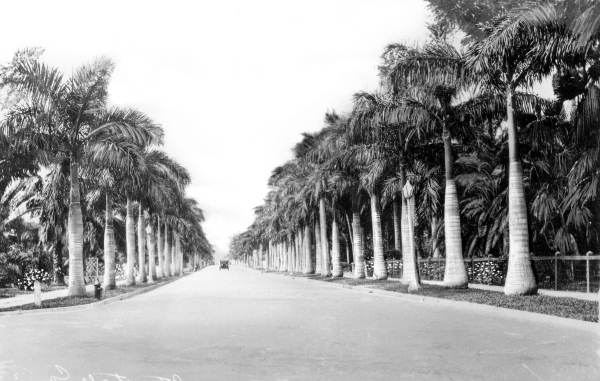 Royal Palm Way.