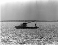 Oyster boat
