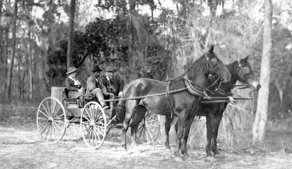 Genevieve and Edward Beadel, Sr. in hunt cart.