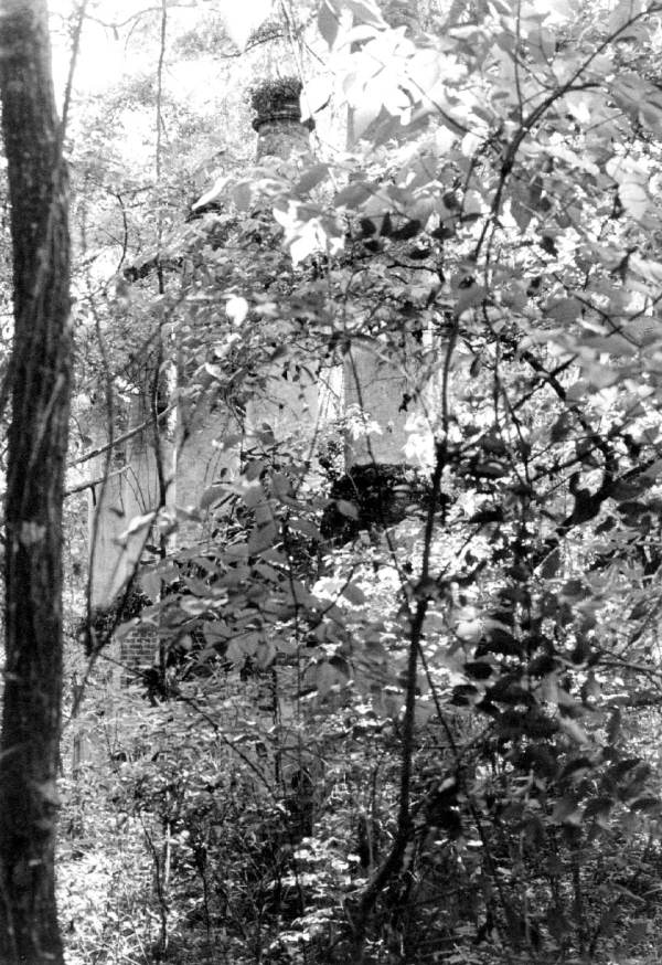 Ruins at Vedura Plantation - Leon County, Florida