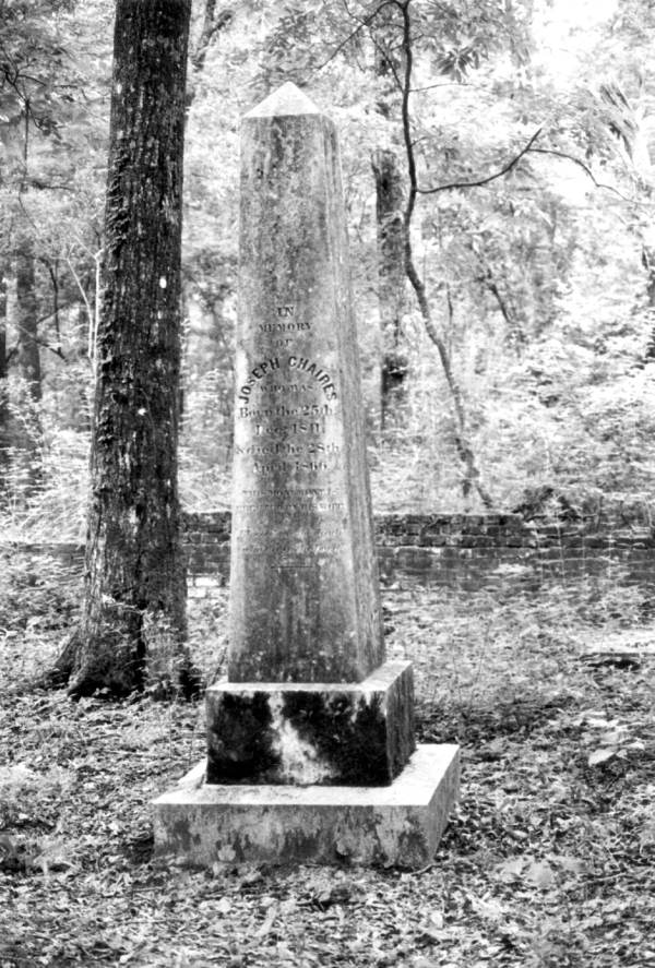Grave at Vedura Plantation : Leon County, Florida