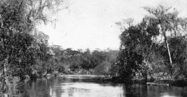 Alafia River near Mulberry