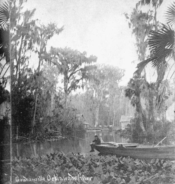 Oklawaha River - Grahamsville, Florida