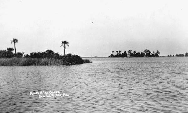 Pithlachascotee River