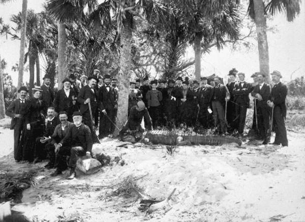 Group of men and women with guns and alligator.