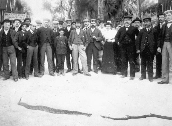 Group of men and women watching large rattlesnake.