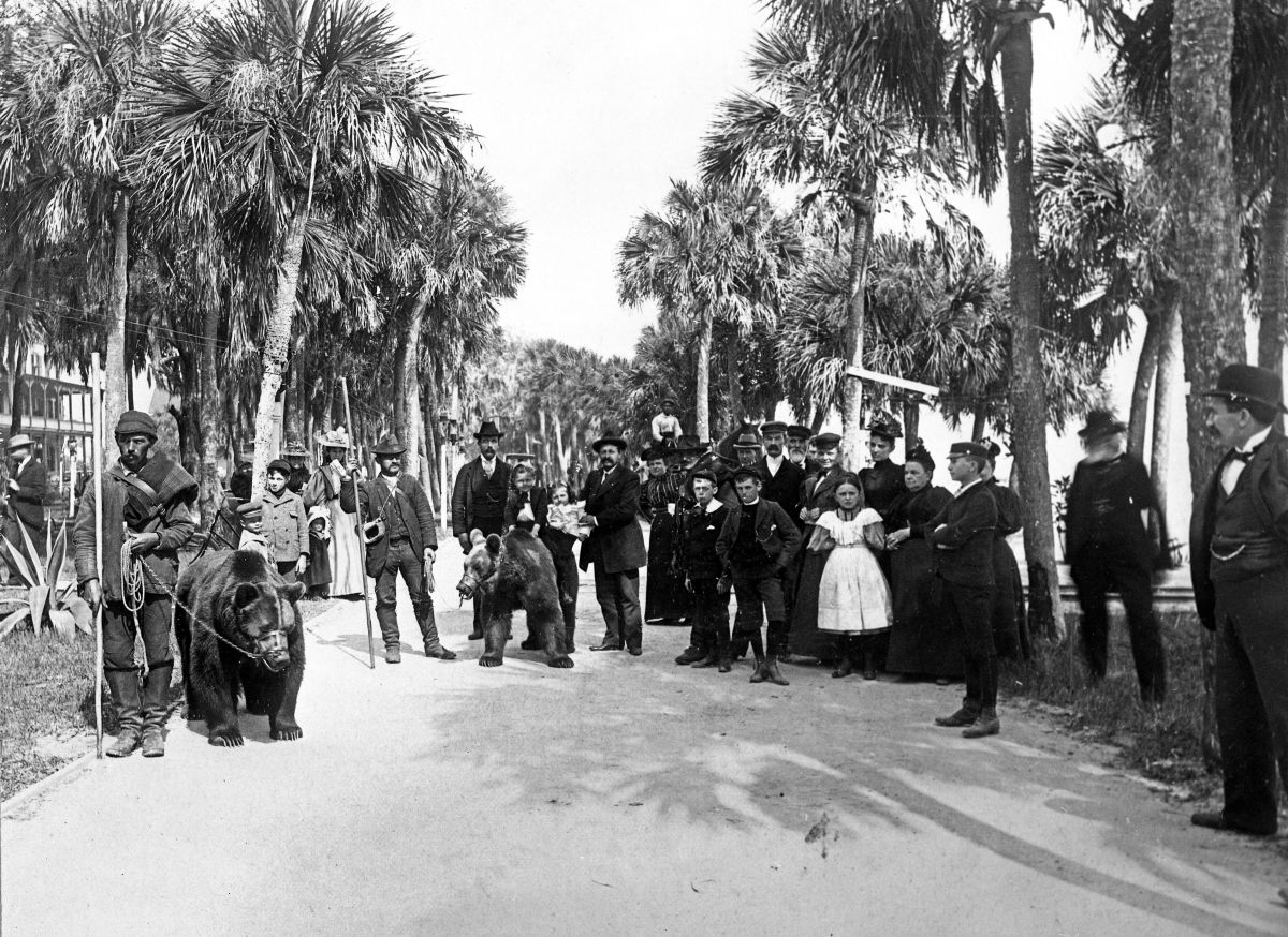 People watching tame bears in front of Indian River Hotel.