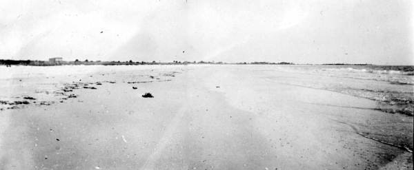 Beach : Sarasota, Florida.