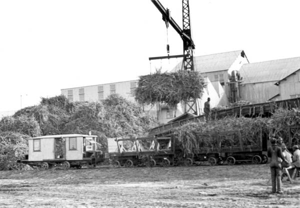 Sugar mill at Fellsmere, home to