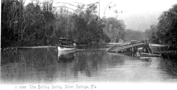 Boatwreck near Silver Springs