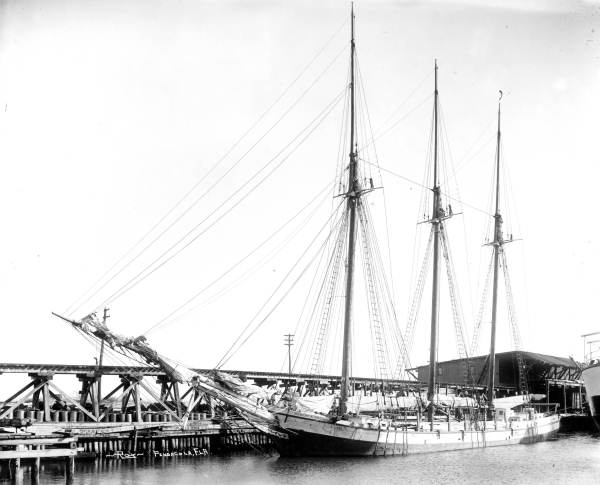 "Robert A. Snyder" docked at Louisville and Nashville railroad wharf in Pensacola.