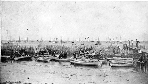 Sponge boats off Bailey's Bluff in Pasco County