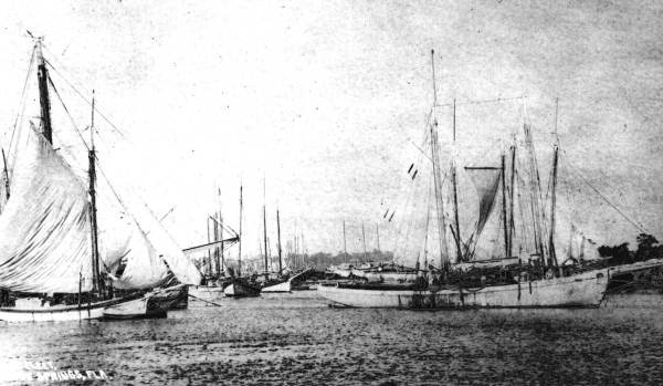 Sponge fleet at Tarpon Springs