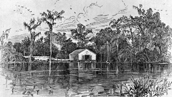 Silver Springs