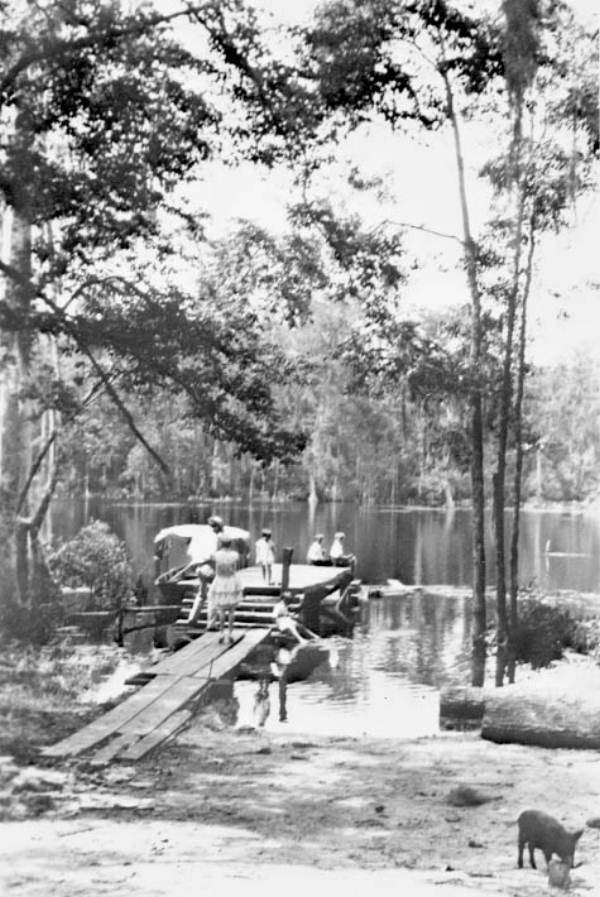 Diving platform : Wakulla Springs, Florida