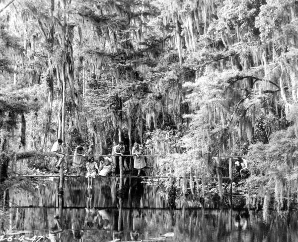 Young adults standing on a catwalk at Highlands Hammock State Park