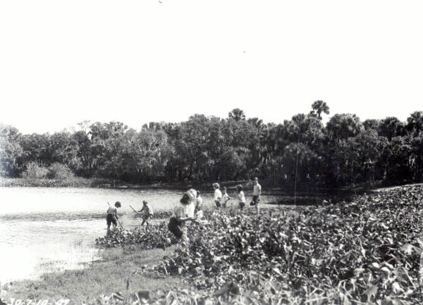 Seining for fish : Myakka City, Florida