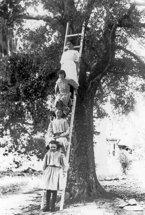 Girls on a ladder - Tallahassee, Florida.