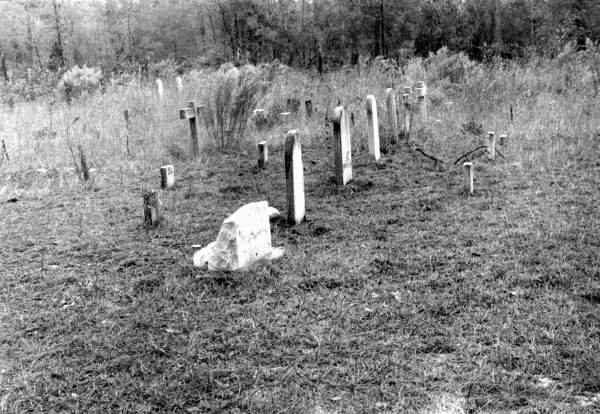 Cemetery of abandoned town - Varnom, Florida