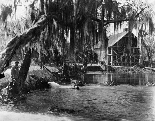 Spillways and mill at De Leon Springs
