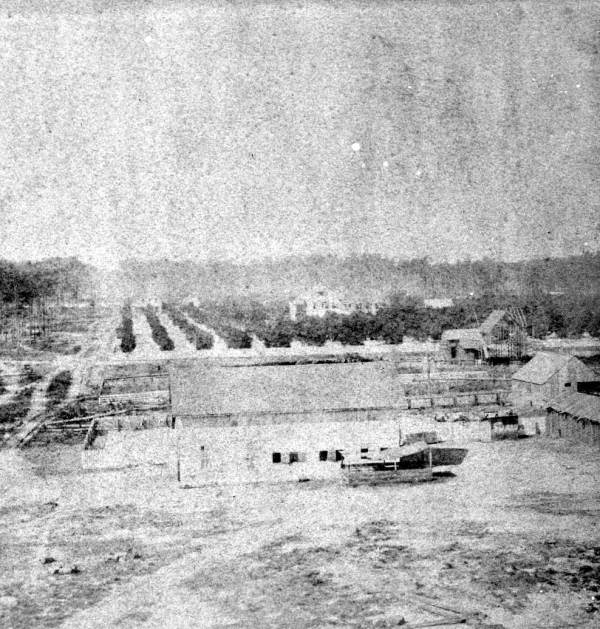 View of DeLand