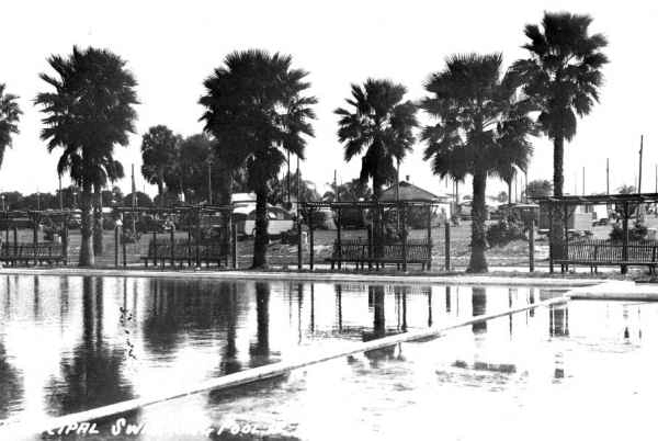 Municipal swimming pool - Winter Garden, Florida