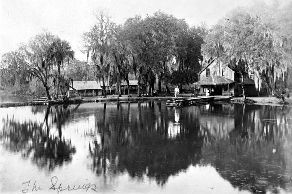 View of the De Leon springs