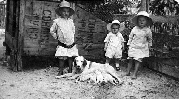 Children with a dog and her puppies - Wakulla County.