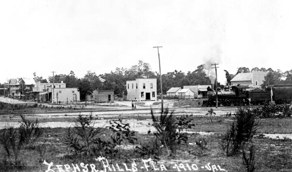 View of train traveling through Zephyrhills