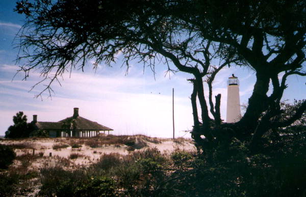 View of Cape Saint George lighthouse through the branches of a tree.