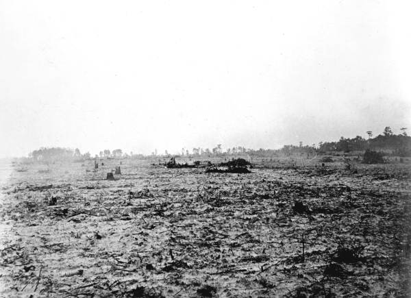 Newly plowed and partially cleared land in North Farm - Okaloosa County, Florida
