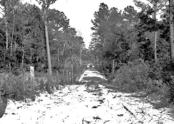 Road, fence and bridge built by CCC workers - O'Leno State Park, Florida