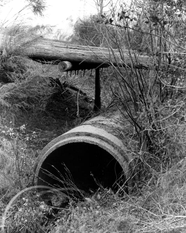 Drainage ditch in the Tosohatchee Tract - Orange County, Florida