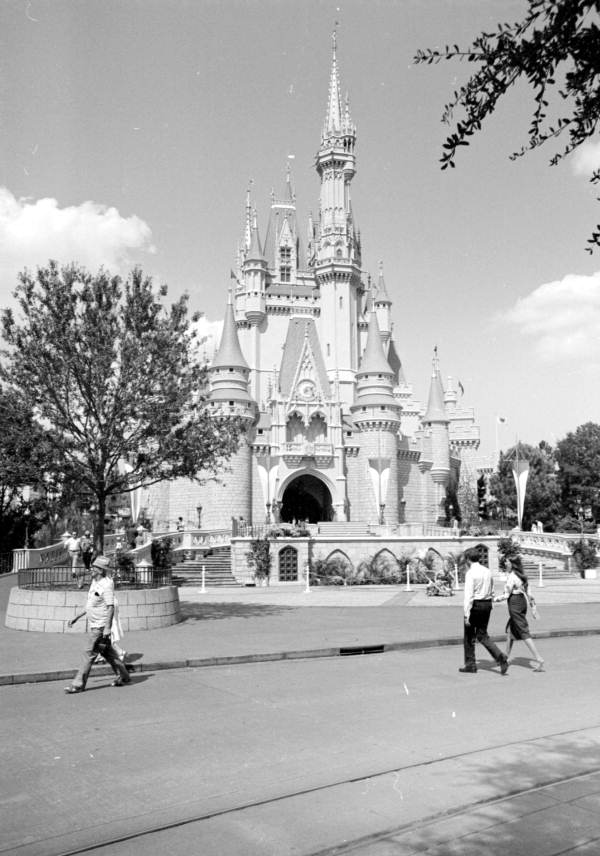 Cinderella's castle at Disney World - Orlando, Florida.