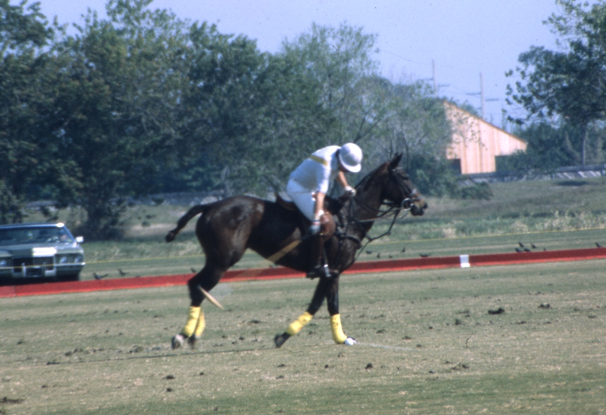 Polo player in action during a match at the Royal Palm Polo Club, Inc. - Boca Raton, Florida.
