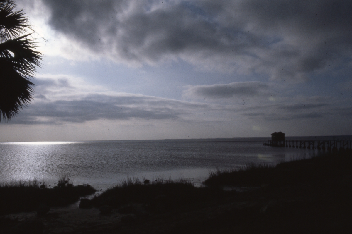 Looking out over the estuary - Saint Marks, Florida