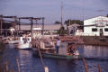 Fishing boats by the docks at Horseshoe Beach - Dixie County, Florida
